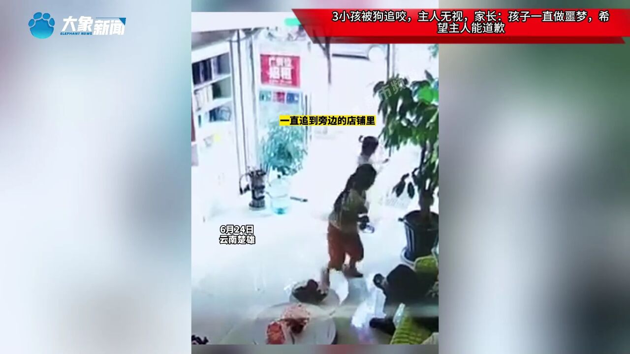 3小孩被狗追咬,主人无视,家长:孩子一直做噩梦,希望主人能道歉