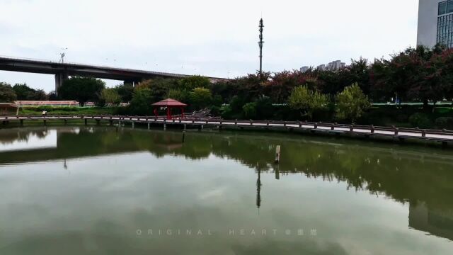 花海公园,鼓山大桥