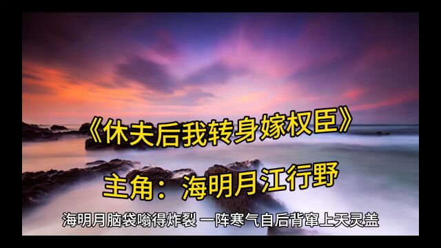 精彩新品《休夫后我转身嫁权臣》海明月江行野全文