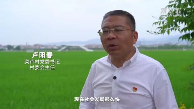 央媒组团头条点赞!“千万工程”的南湖答卷