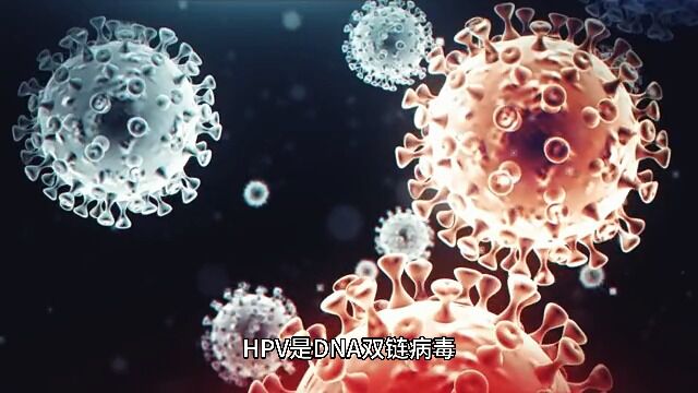 HPV 的感染途径 广州科大中医医院