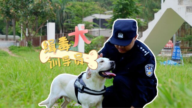 “汪汪队”立大功背后的男人:缉毒犬训导员