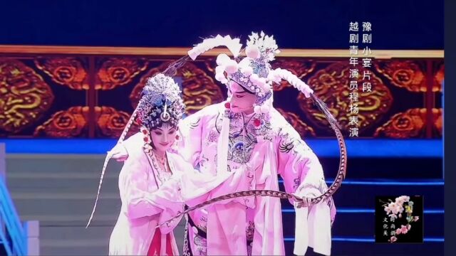 豫剧《小宴》片段,越剧青年演员程杨表演