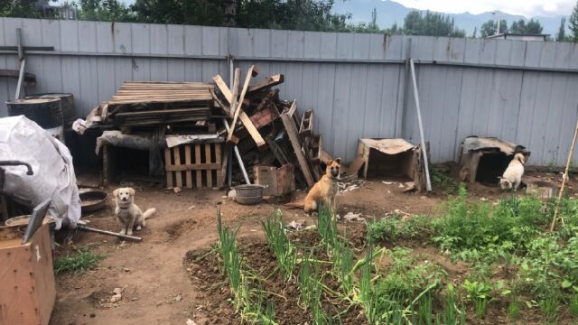 雨后的农家小院