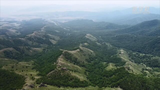 罕山国家级自然保护区:“无人区”成野生动植物家园