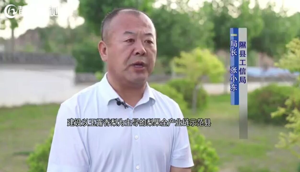 山西隰县 梨果为基 打造特色专业镇典型样板