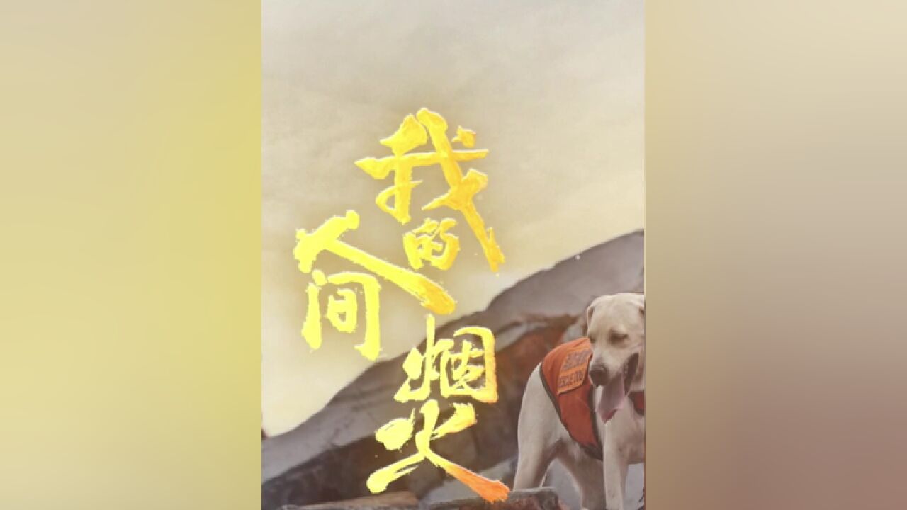 消防员的天职是什么?是火光里无畏的背影,是危险前逆行的足迹,守护人间烟火是消防员的天职,更是责任与底线!