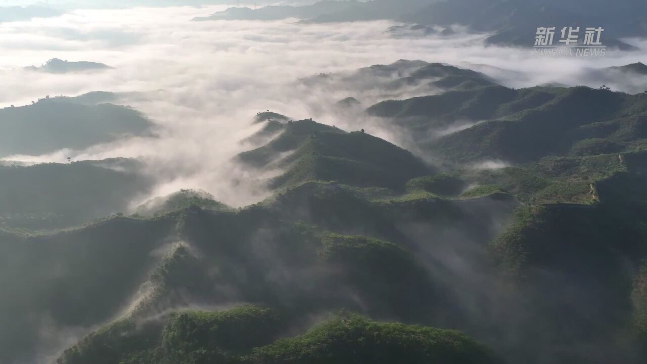 河北遵化:浩瀚云海晨景如画