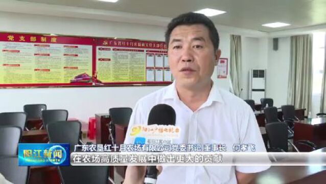 阳江市侨界“侨心向党 同心逐梦”主题系列活动举行