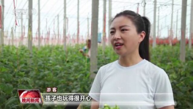 加大“农文旅”产业融合力度 新业态新模式激发乡村新活力