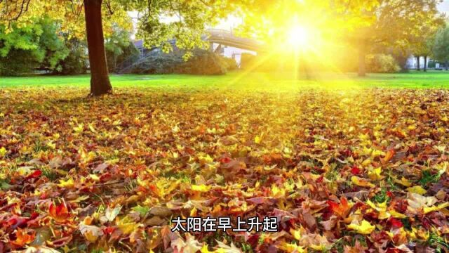 为什么太阳会在早上升起,晚上落下