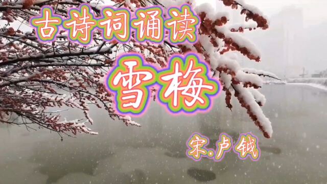 经典诗句:梅须逊雪三分白,雪却输梅一段香.