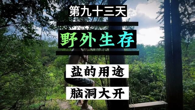 第93集|承认自己的无知,乃是开启智慧的大门