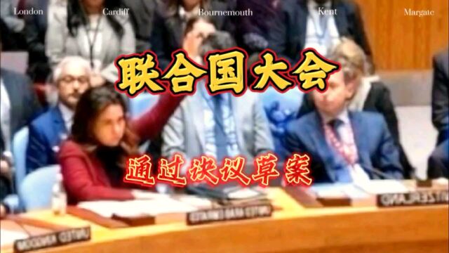 联合国大会通过决议草案