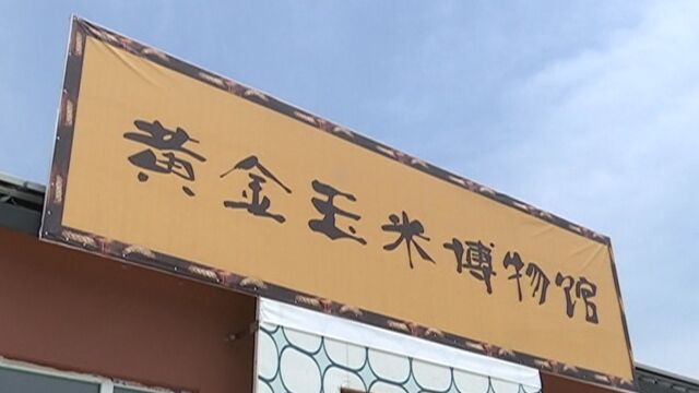 孙颖:以身作则不忘初心 扎根岗位挥洒青春