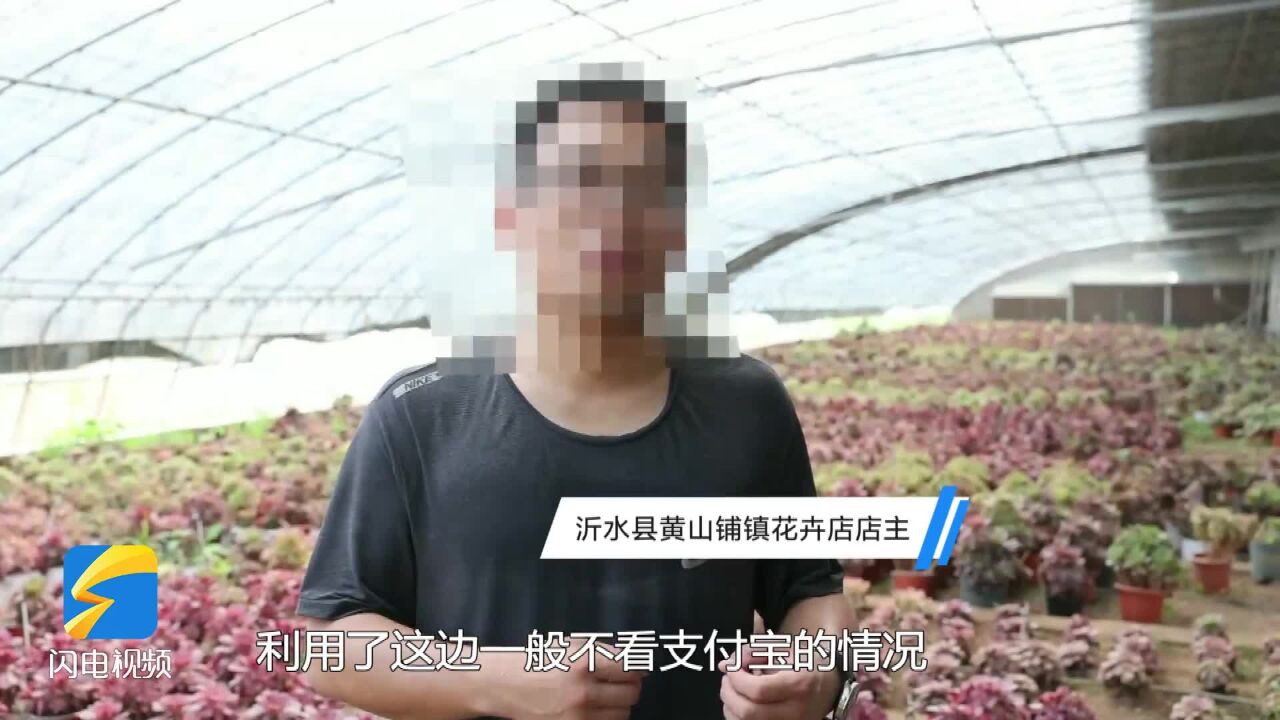 零成本“进货”低价转卖 沂水警方破获多起花卉诈骗案