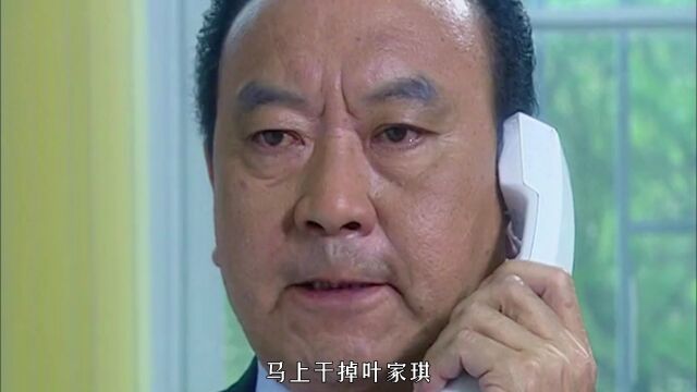 女市长想拉局长去纪委自首,结果牵扯到副省长