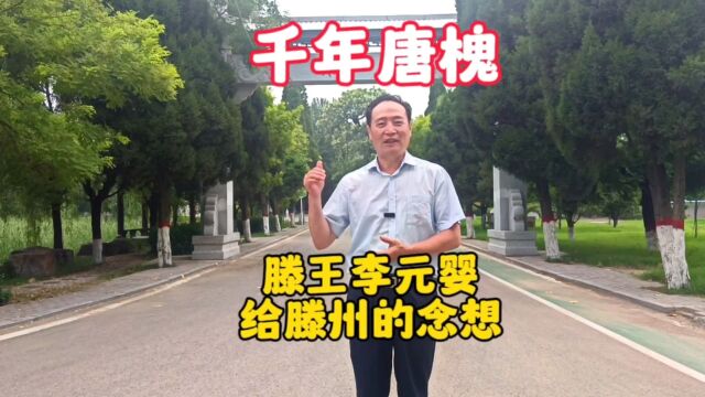 臭名昭著的滕王李元婴,劳民伤财建了滕王阁,唯一念想留下了两棵唐槐