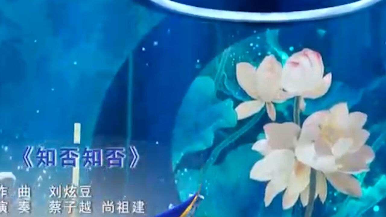 《知否知否应是绿肥红瘦》主题曲《知否知否》,经典好听,请欣赏