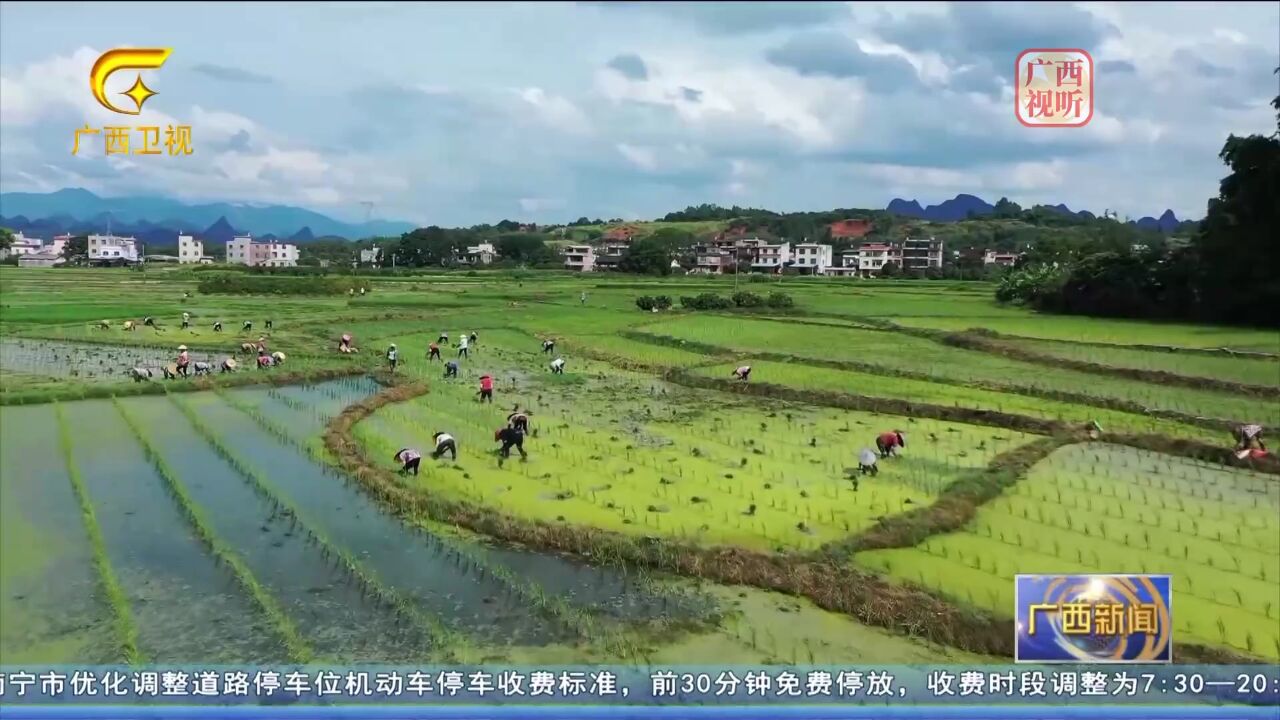 平乐:“整改复耕” 让“沉睡地”变“致富田”