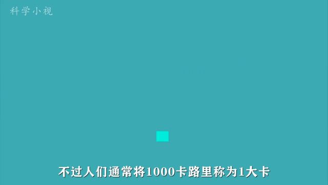 卡路里是什么,我们每天需要摄入多少卡路里?