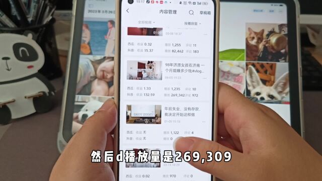 播放量26万的作品收益是多少