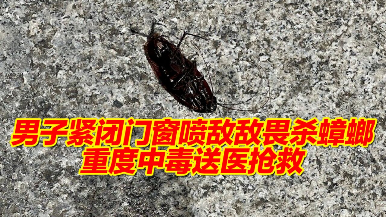 深圳一男子紧闭门窗喷敌敌畏杀蟑螂 引发重度中毒送医抢救