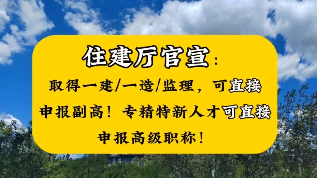 住建厅:取得一建/一造/监理,可直接申报副高!专精特新人才可直接申报高级职称!