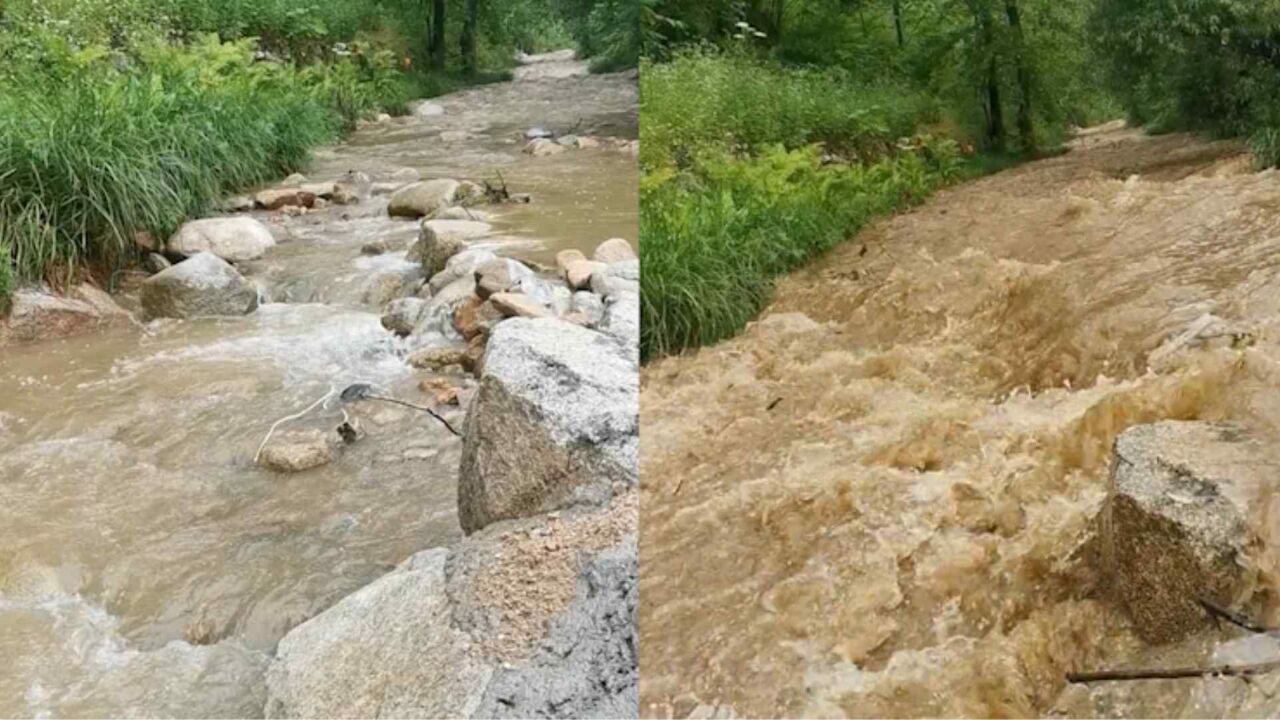 实拍商洛暴雨后山洪暴发,洪水席卷而来:清澈溪水瞬间变浑浊