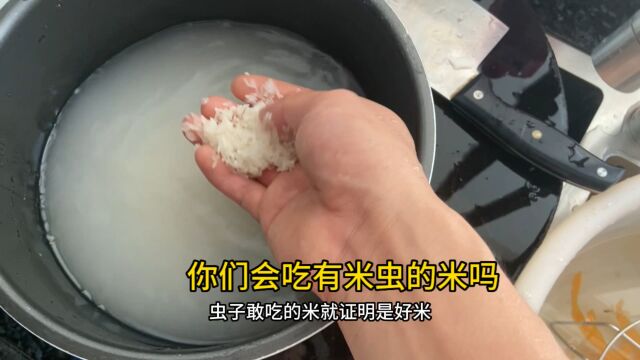 你们会吃有米虫的米吗?