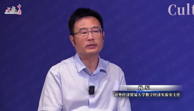 文旅大家谈 | 杨军:数字技术与经济模型深度融合的可行性与重要应用前景