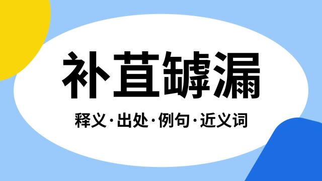 “补苴罅漏”是什么意思?