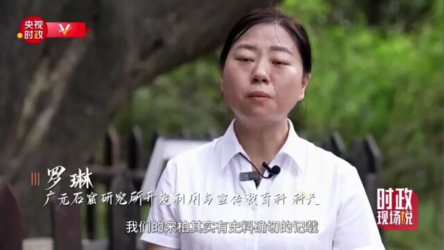 时政现场说丨保护蜀道古柏 当好古柏守护人热点新闻20230727 20:10