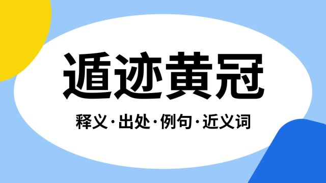 “遁迹黄冠”是什么意思?