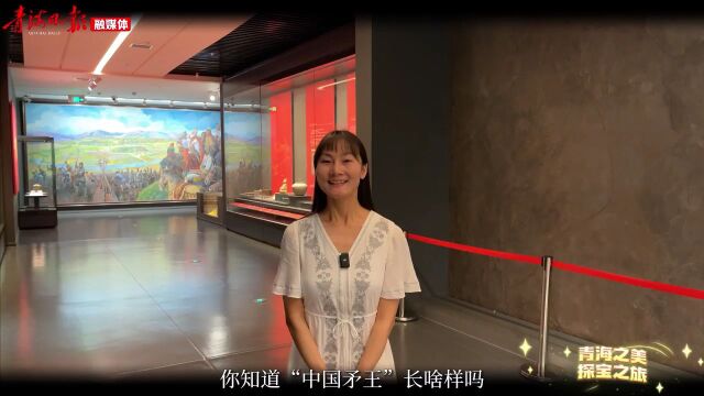 青海之美 探宝之旅 | “中国矛王”长啥样?