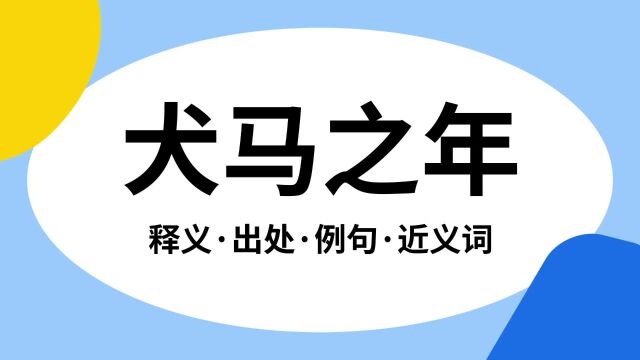 “犬马之年”是什么意思?