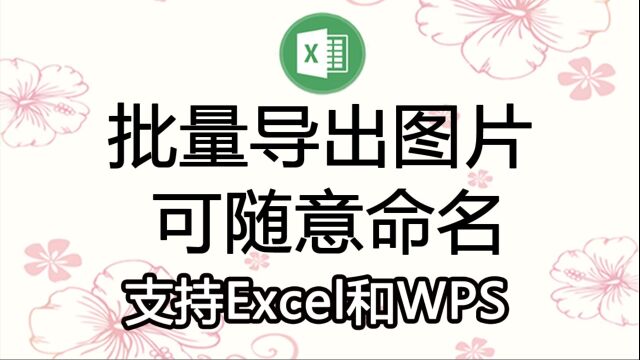 从工作表中批量导出图片,用指定列的值命名文件