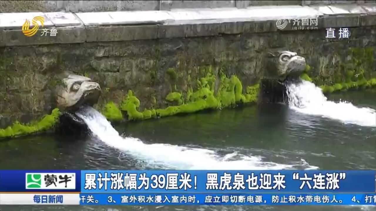 九连涨!济南趵突泉地下水位迎来井喷式上涨,一夜蹿升17厘米