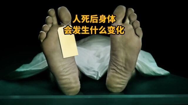 人死亡后,身体会发生什么变化?