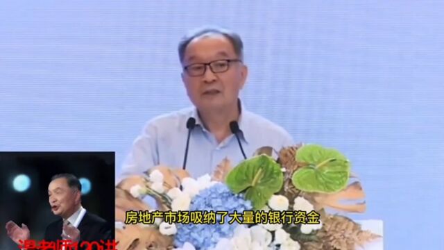 温铁军教授:房地产吸纳了大量的银行资金