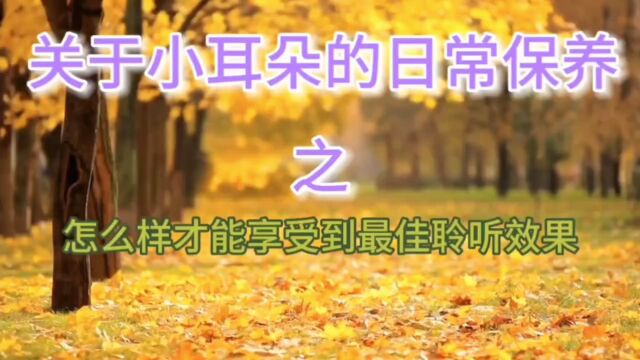 关于小耳朵的日常保养