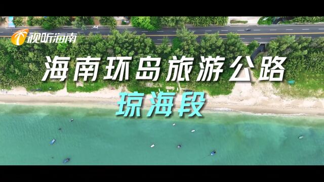 带你“瞰”海南丨椰风海韵 宛如画卷 来琼海感受与海并肩的浪漫