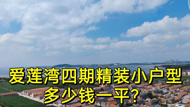 爱莲湾四期小户型,屋内配套装修科技头令人惊叹,上海粉丝空中转账定房