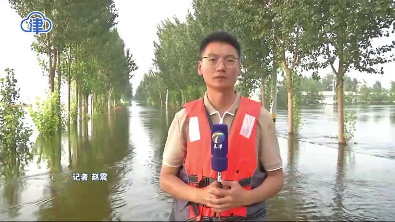 大清河水位8月9日达到峰值