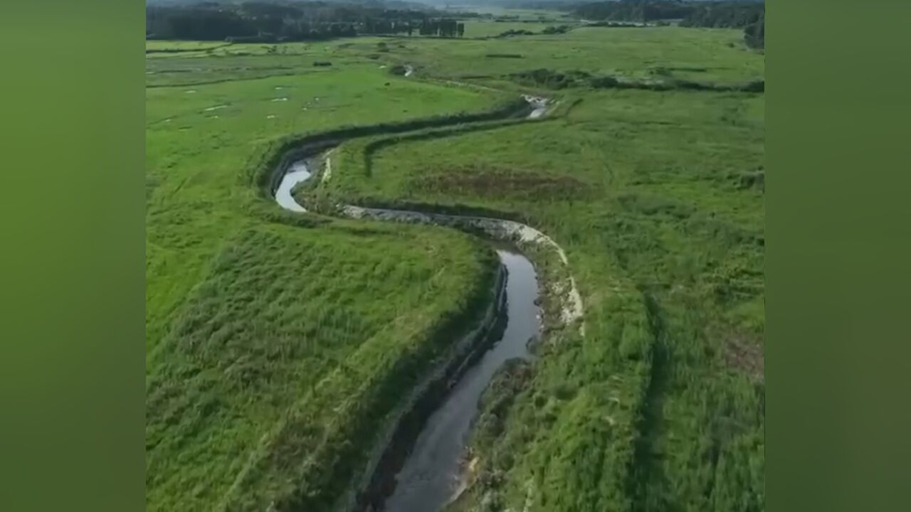 江西金溪:超千亩耕地被污染,农田变荒地