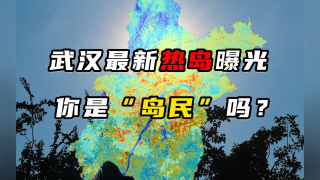 用卫星遥感数据收集近30天地表温度,我们找到了今年夏天武汉最热的地方