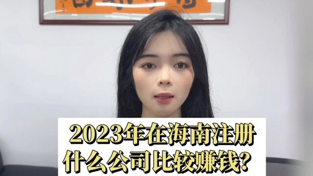 2023年在海南注册什么公司比较赚钱?