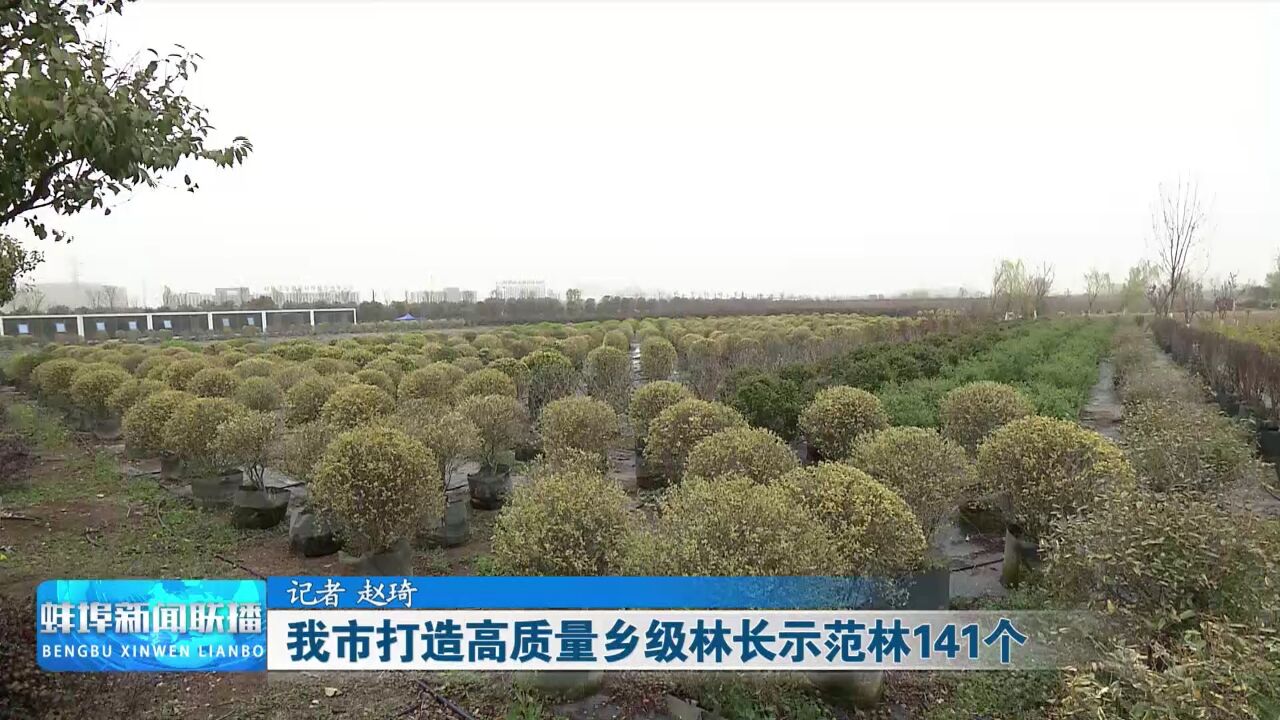 我市打造高质量乡级林长示范林141个