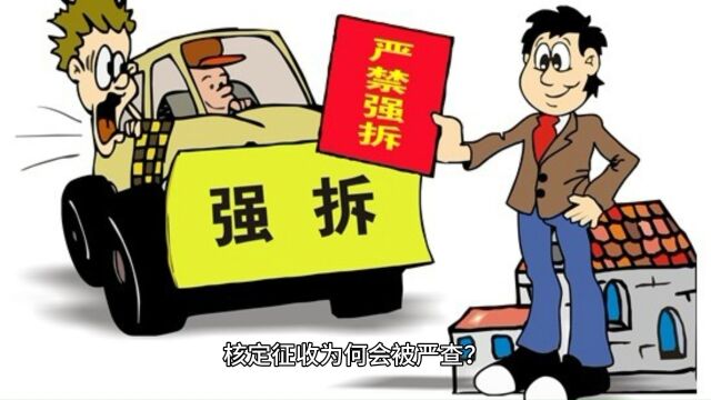 为何会被严查?快来了解同样收入下交税差异大的原因!#核定征收核定征收