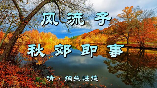 诗词欣赏:纳兰性德《风流子ⷮŠ秋郊即事》—人生须行乐,君知否?